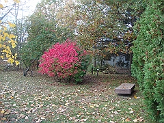 01 Shiawassee National Wildlife Refuge [2008 Nov 5]